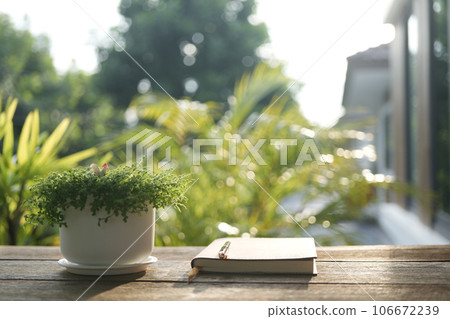 Diary notebook and plant and wooden table outdoor Diary notebook and plant and wooden table outdoor 106672239