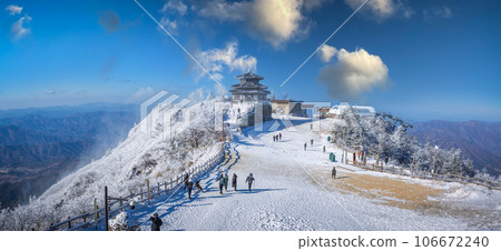 Atop the snow-capped Deogyusan mountains on a clear day and the snow blown by the wind  in winter,South Korea. 106672240