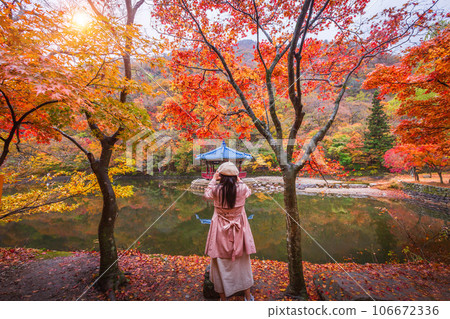Tourists taking pictures in Colorful autumn with beautiful leaf at Baekyangsa temple in Naejangsan national park, South Korea. Tourists taking pictures in Colorful autumn with beautiful leaf at Baekyangsa temple in Naejangsan national park, South Korea. 106672336