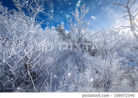 Atop the snow-capped Deogyusan mountains on a clear day and the snow blown by the wind in winter,South Korea. Atop the snow-capped Deogyusan mountains on a clear day and the snow blown by the wind in winter,South Korea. 106672340