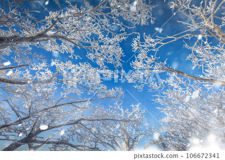 Atop the snow-capped Deogyusan mountains on a clear day and the snow blown by the wind  in winter,South Korea. 106672341