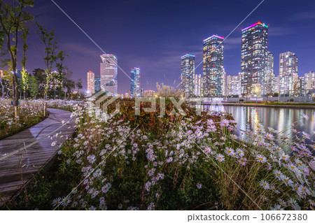White flowers and beautiful night view at Songdo Central Park in Songdo District, Incheon South Korea. White flowers and beautiful night view at Songdo Central Park in Songdo District, Incheon South Korea. 106672380