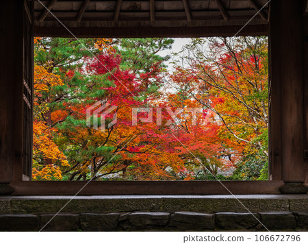 Autumn Kyoto Hozenin Sanmon Autumn Kyoto Hozenin Sanmon 106672796