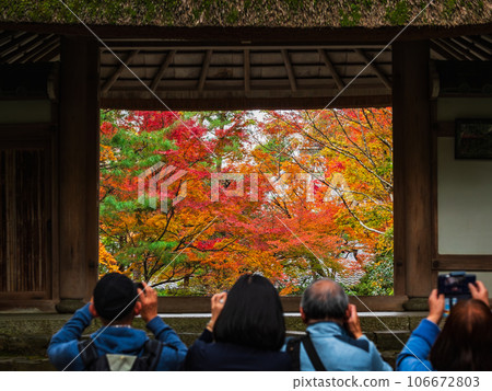Autumn Kyoto Hozenin Sanmon 106672803