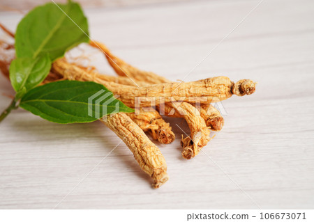Ginseng roots and green leaf, organic nature healthy food. 106673071