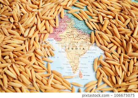 Bangkok, Thailand March 12, 2023 India map with grain rice from agriculture farm. Law and justice court concept. 106673075