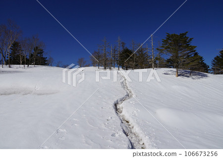 Shizuoka Prefecture, 200 Famous Mountains, Yamabushi Tracing in the Snow 106673256