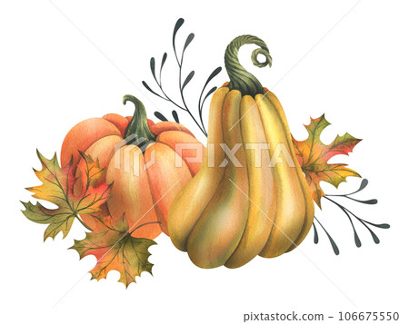 Orange autumn pumpkins with maple leaves and twigs. Watercolor illustration, hand drawn. Isolated composition on a white background Orange autumn pumpkins with maple leaves and twigs. Watercolor illustration, hand drawn. Isolated composition on a white background 106675550
