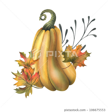 Orange autumn pumpkins with maple leaves and twigs. Watercolor illustration, hand drawn. Isolated composition on a white background Orange autumn pumpkins with maple leaves and twigs. Watercolor illustration, hand drawn. Isolated composition on a white background 106675553