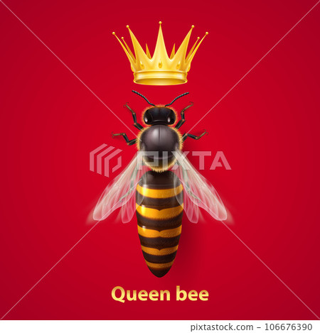 Bee Queen 106676390