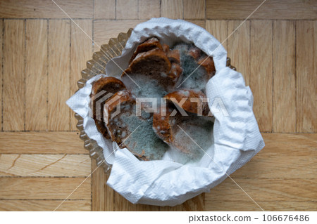 Forgotten bread breadbasket covered with green mold Forgotten bread breadbasket covered with green mold 106676486