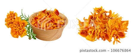 fresh marigold or tagetes erecta flower isolated on white background with full depth of field. 106676864