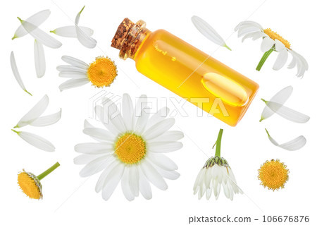 bottle with essential oil and fresh chamomile flowers isolated on white background. Top view. Flat lay. 106676876