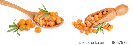 Sea buckthorn. Fresh ripe berry with leaves in wooden spoon isolated on white background macro 106676893