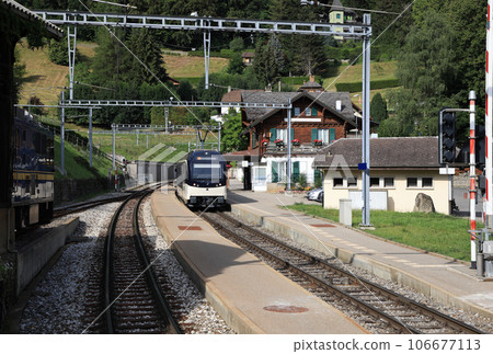Swiss mountain railway station 106677113