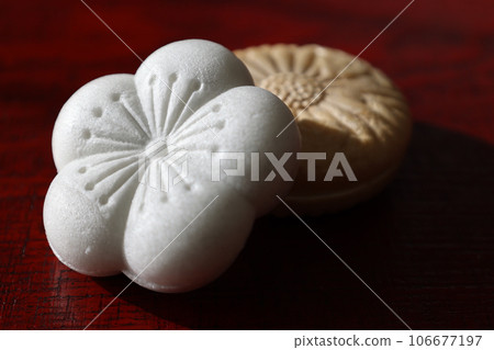 While placed on a lacquered board 106677197