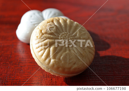 放置在漆板上時 106677198