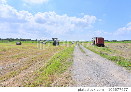 收穫季節的稻田和拖拉機，埼玉縣桶川市 106677477