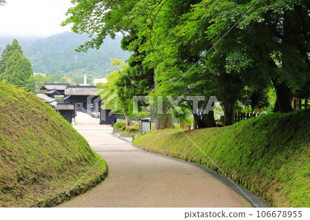 Rainy Hakone Seki Ruins Kanagawa Prefecture Rainy Hakone Seki Ruins Kanagawa Prefecture 106678955