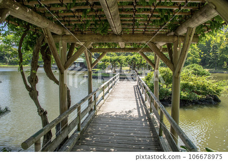 濱離宮庭園:東京都中央區濱離宮庭園 濱離宮庭園:東京都中央區濱離宮庭園 106678975