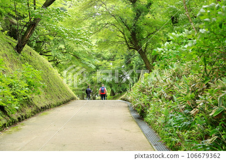 雨天的箱根關遺址 神奈川縣 106679362