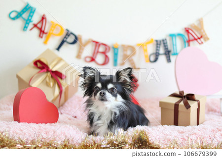 奇瓦瓦州生日活動 106679399