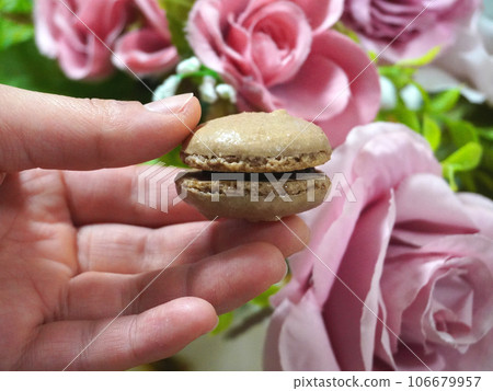 Macaroon Macaroon 106679957