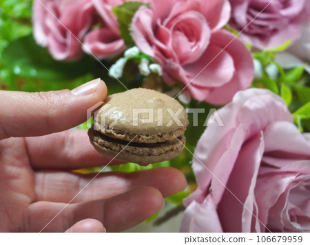 Macaroon Macaroon 106679959