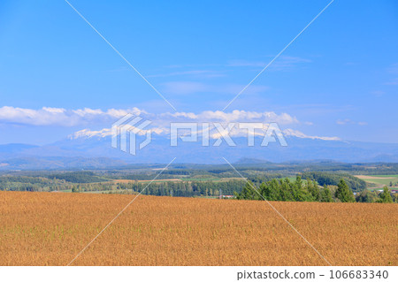 Hokkaido_Scenery of farm hills and Daisetsuzan mountains Hokkaido_Scenery of farm hills and Daisetsuzan mountains 106683340