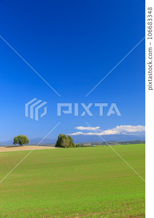 Hokkaido_Scenery of farm hills and Daisetsuzan mountains Hokkaido_Scenery of farm hills and Daisetsuzan mountains 106683348