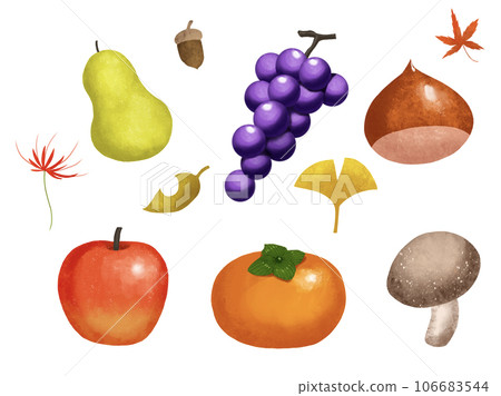 Autumn taste fruit 106683544
