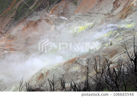 雨中的箱根大涌谷,神奈川縣 雨中的箱根大涌谷,神奈川縣 106683548