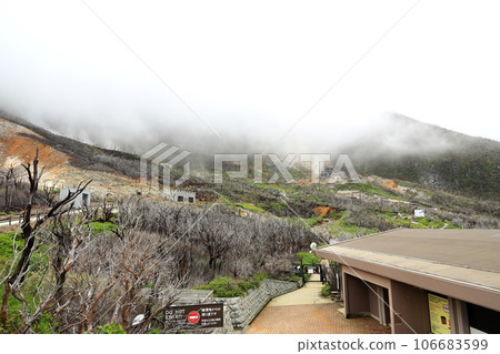 Hakone Owakudani in the rain, Kanagawa Prefecture 106683599