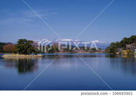 南湖公園 南湖公園 106683801