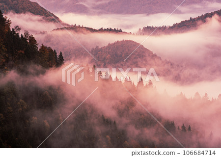 Misty mountain landscape 106684714