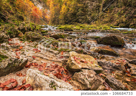 Vintgar gorge, Slovenia 106684733