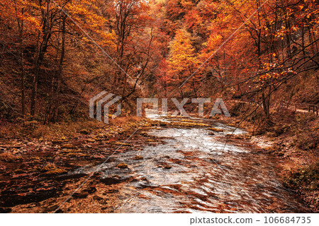 Vintgar gorge, Slovenia 106684735
