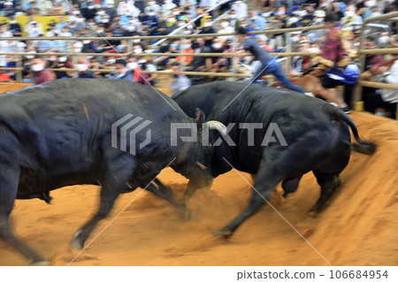 一場與勝利者的鬥牛 一場與勝利者的鬥牛 106684954