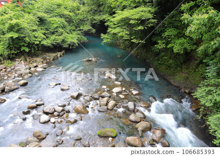 Hakone, Hayakawa, near Tonosawa in the rain 106685393