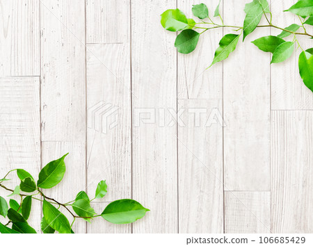 背景圖6-2是明亮的淺白色木色舊木板牆，由粗粒木材製成，飾有綠葉 106685429