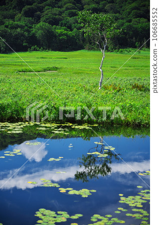 夏天，尾瀨原池塘上倒映的雲彩 106685552