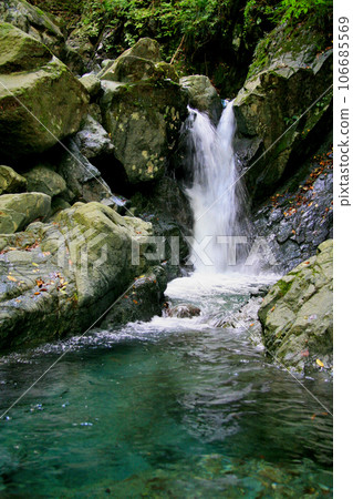 穿過菅野川支流矢田澤逆流而上，捕捉山目鱒魚和紅點鮭魚。 106685569