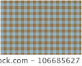Blue gingham check 106685627