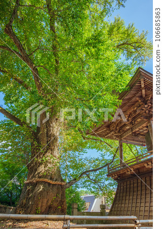 [北向觀音]藍染桂和鍾樓[別所溫泉] 106685863