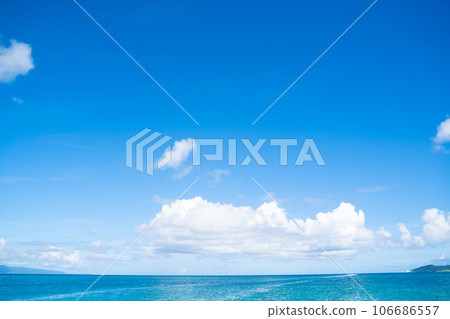 Tropical horizon image 106686557