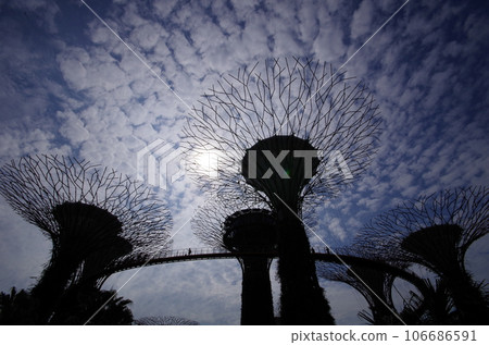 抬頭仰望濱海灣花園超級樹 106686591