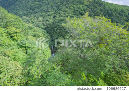 晴朗那須高原、平成森林 晴朗那須高原、平成森林 106686627