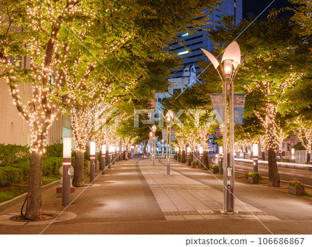 神戶煤氣燈街的燈光夜景 神戶煤氣燈街的燈光夜景 106686867