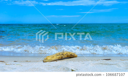 夏天漂流木被沖到海灘上 106687107