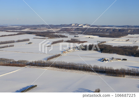 Aerial winter landscape of central Hokkaido 106687225